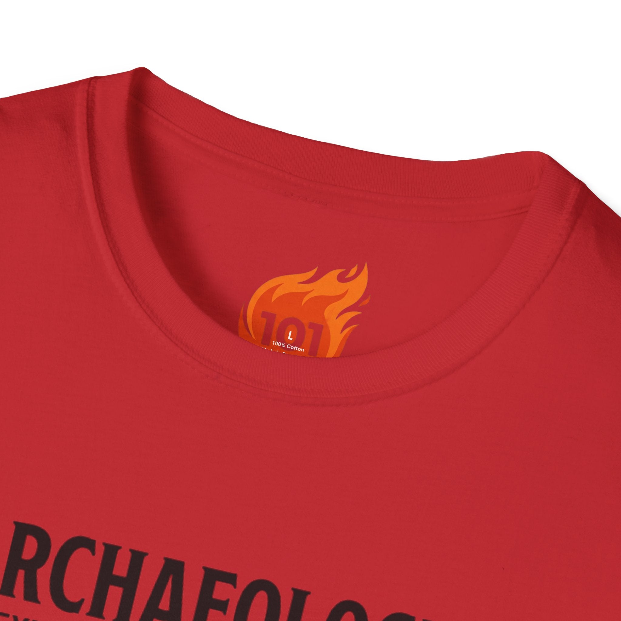 Archaeology is Slow Looting Graphic T-Shirt