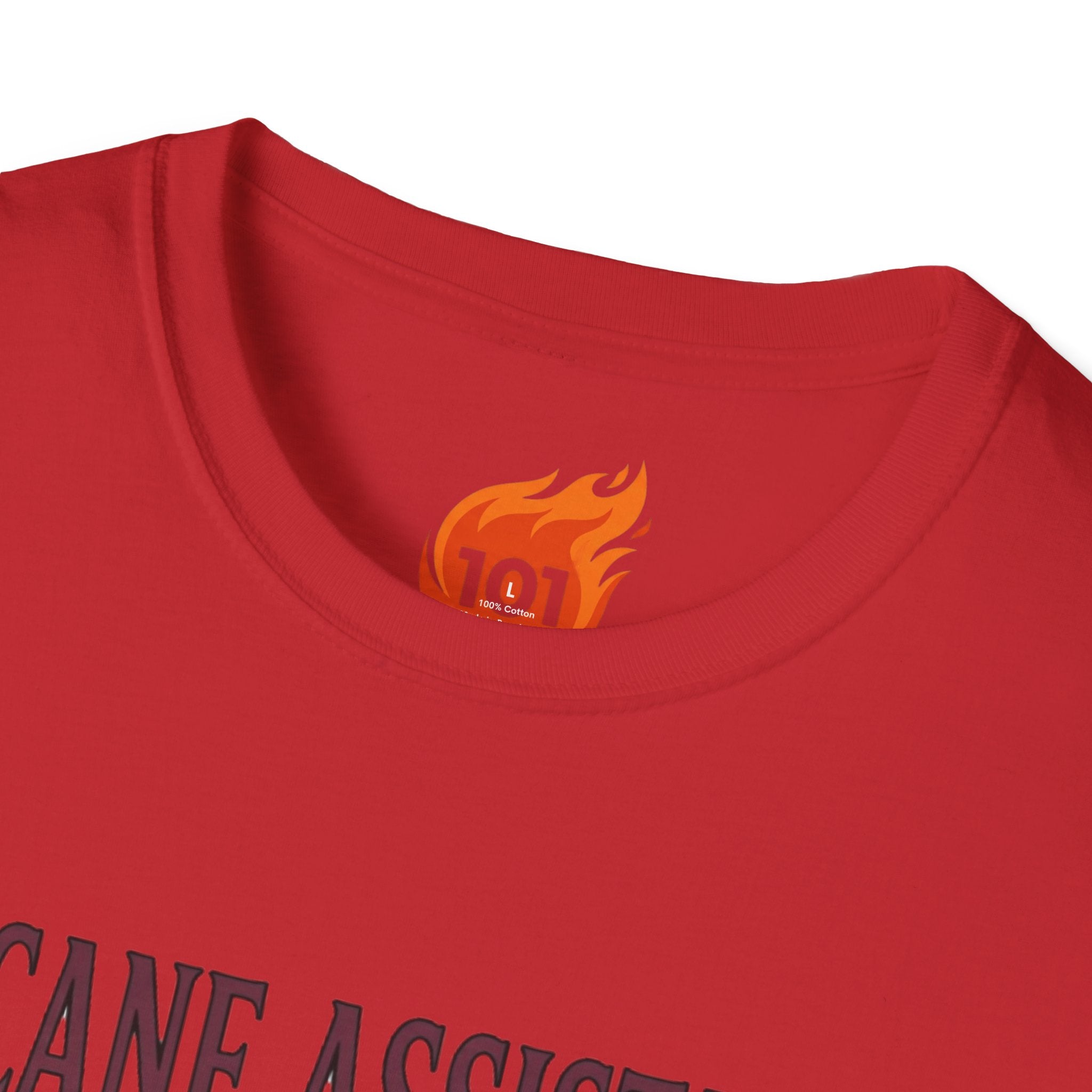 Spell: Summon Familiar Graphic T-Shirt