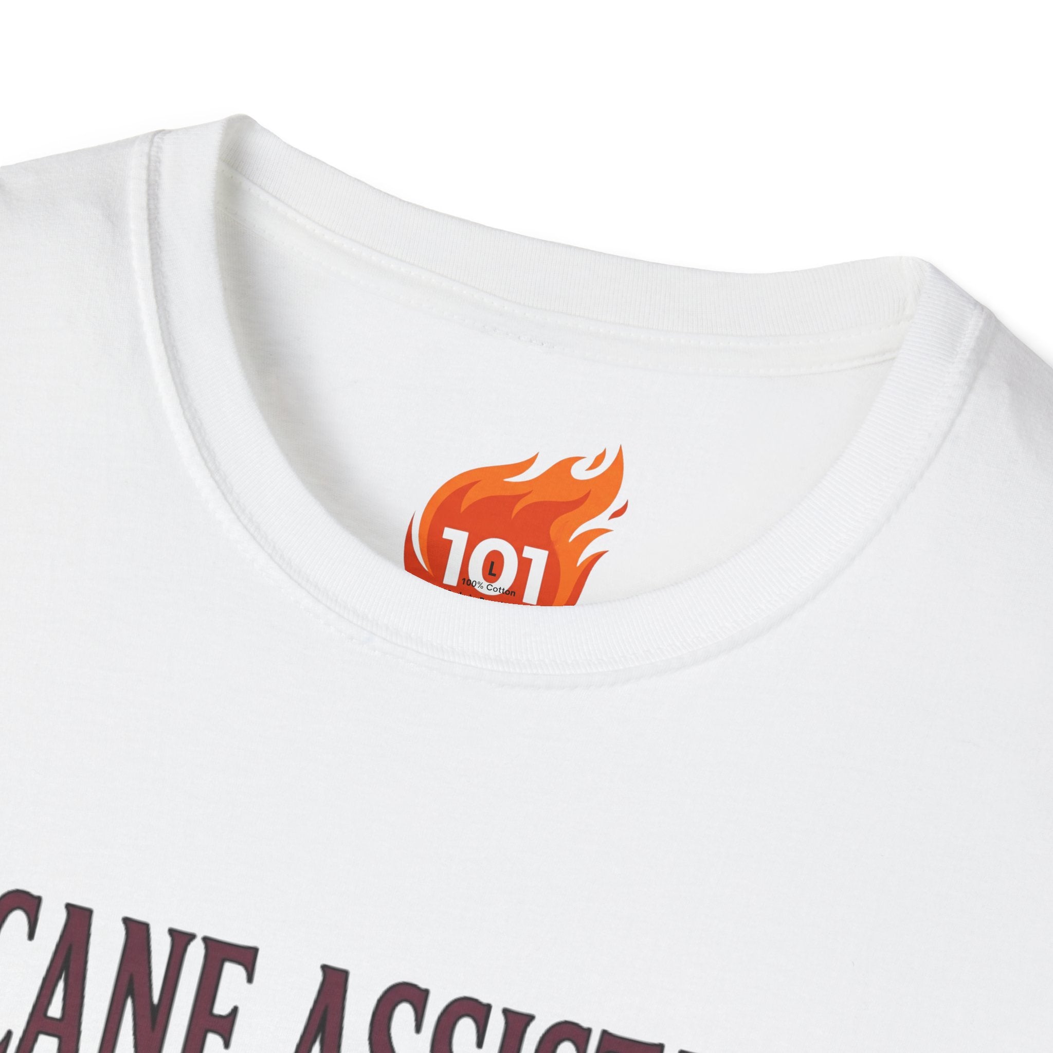 Spell: Summon Familiar Graphic T-Shirt